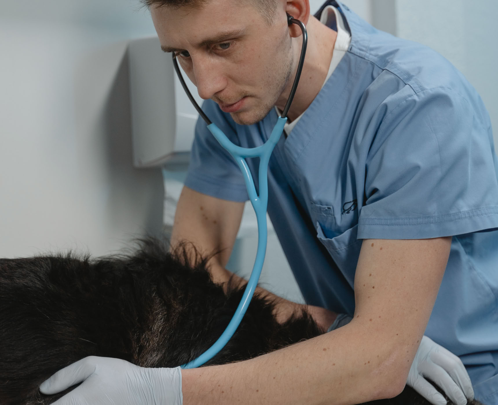 Veterinary Practices